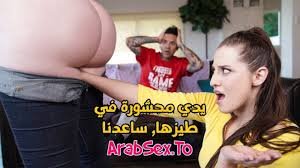هيا ساعدني يدي بداخل مؤخرتها – سكس مترجم xnxx